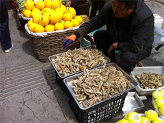 dalian2013050901.jpg